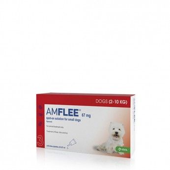 Amflee Spot On 67 mg Cães 2-10 kg 3 Pipetas