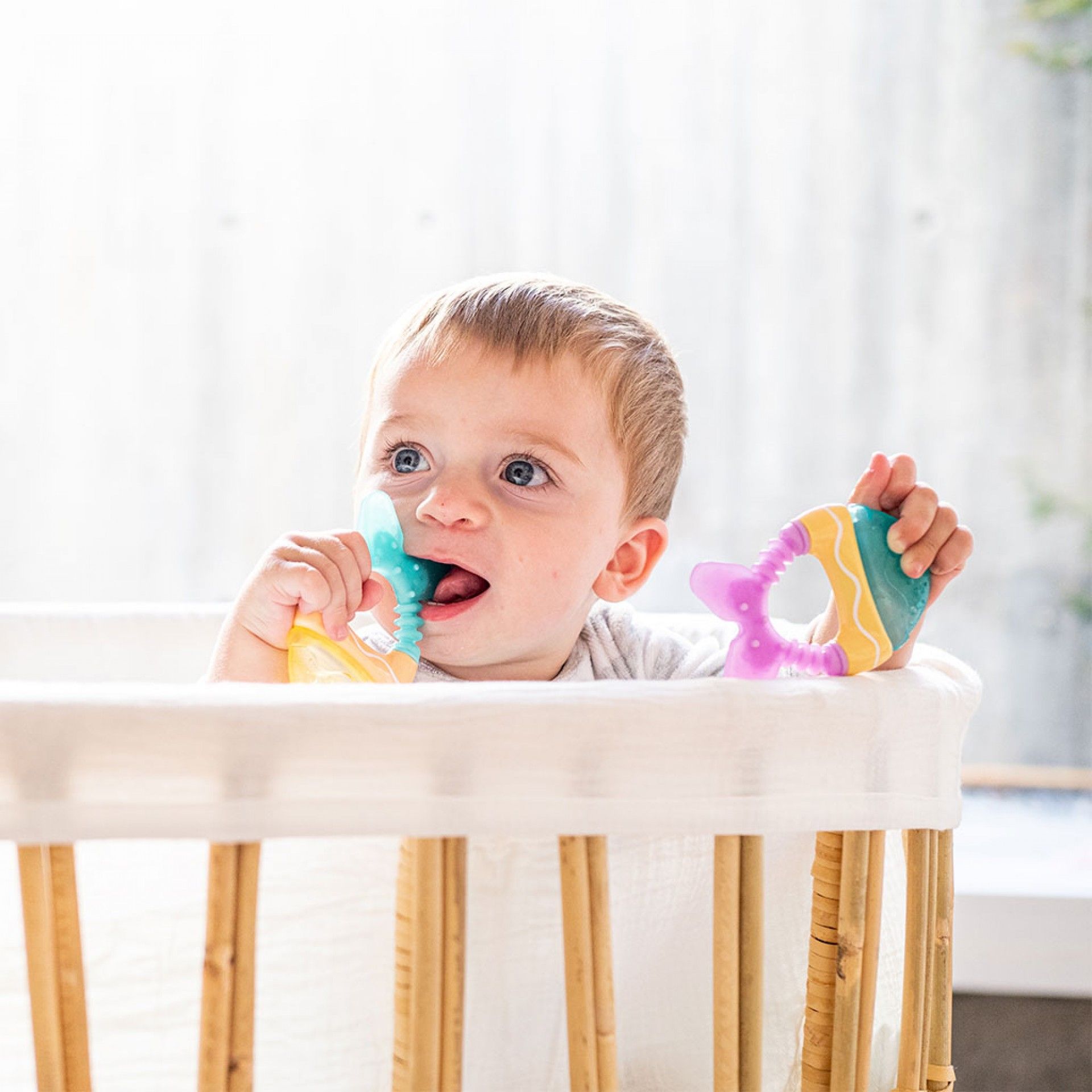 Saro Mordedor de Água Peixinhos