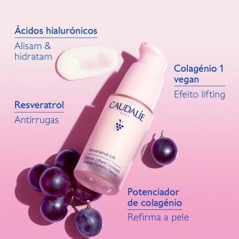 PRODUCT 31013