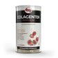Vitafor Colagentek Protein Bodybalance Morango