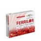 Ferrilor Tecnilor Ferrilor Tecnilor